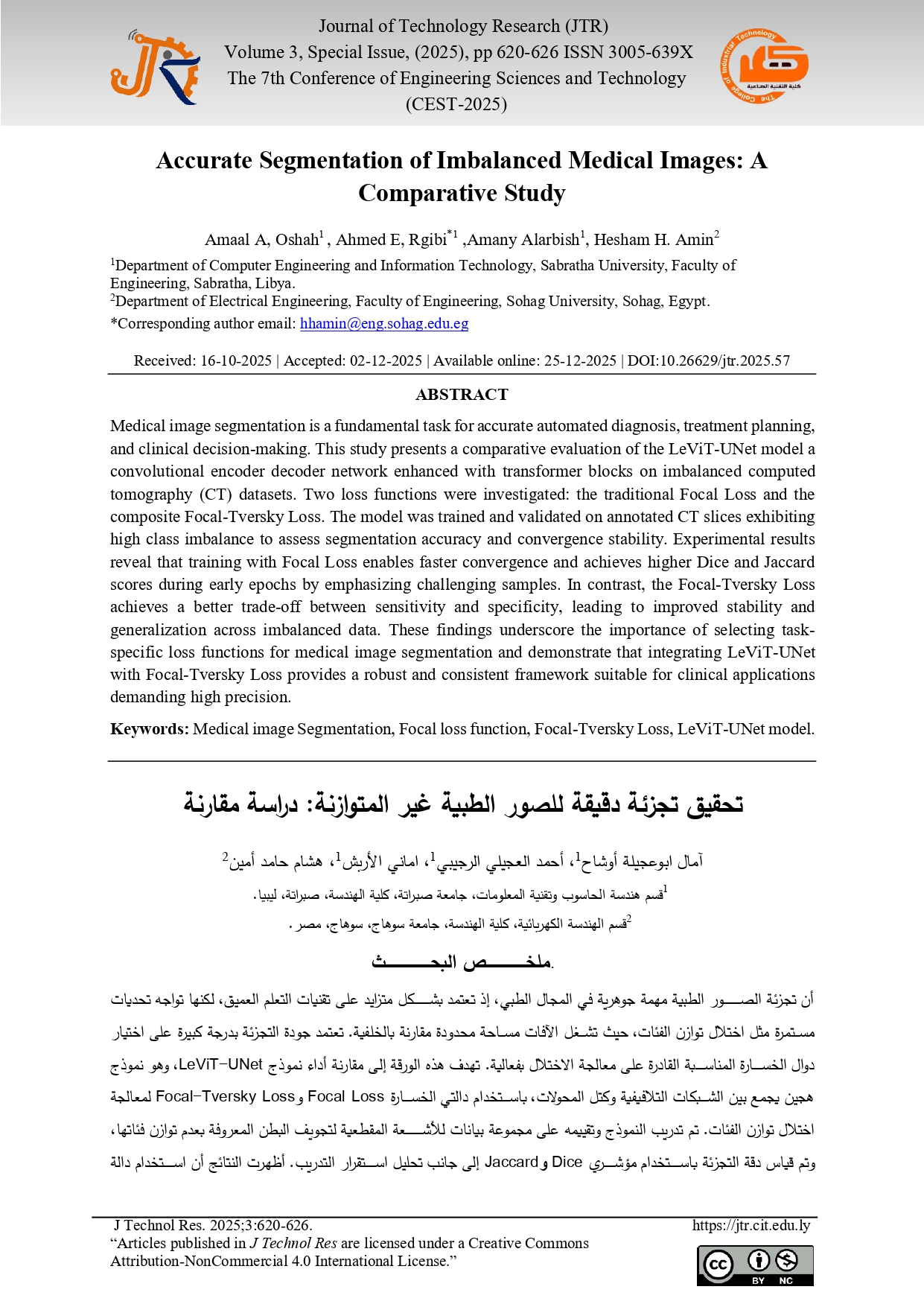 Accurate Segmentation of Imbalanced Medical Images: A Comparative Study